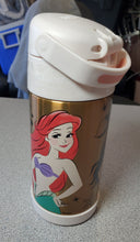 Load image into Gallery viewer, THERMOS FUNTAINER 12 Ounce Stainless Steel Vacuum Insulated Kids Straw Bottle, Princess