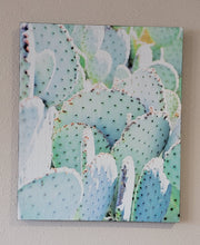 Load image into Gallery viewer, Cactus Wall Décor on Distressed Wood Grain Box Sign (19"x16"x1")