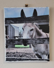 Load image into Gallery viewer, Mule Wall Décor on Distressed Wood Grain Box Sign (19"x16"x1")